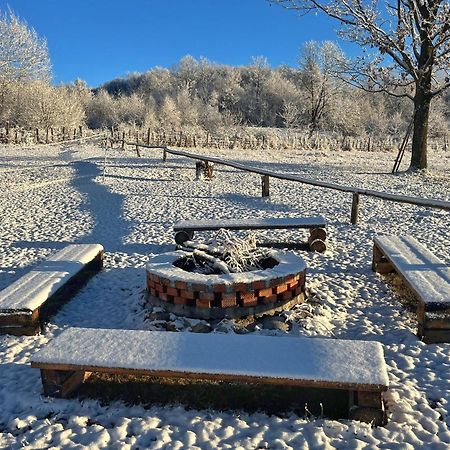 Casuta Din Stejari-Transalpina Villa Novaci Străini Exterior foto