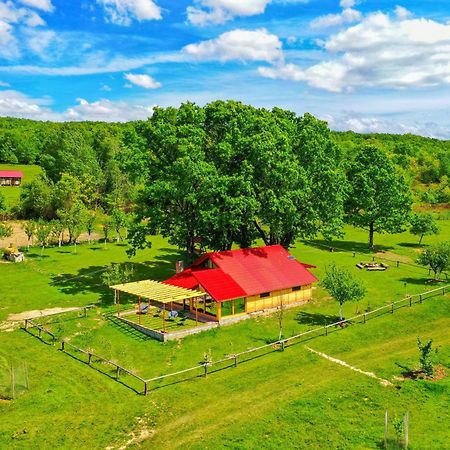 Casuta Din Stejari-Transalpina Villa Novaci Străini Exterior foto