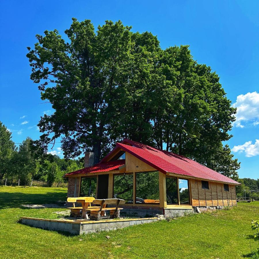 Casuta Din Stejari-Transalpina Villa Novaci Străini Exterior foto