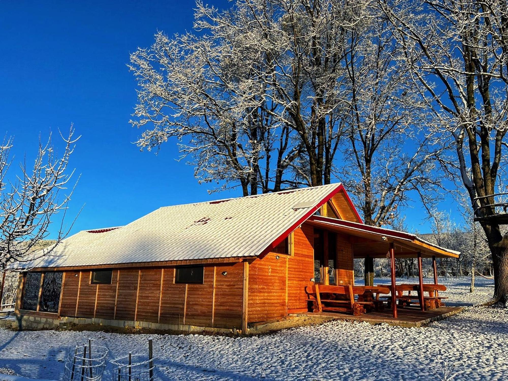 Casuta Din Stejari-Transalpina Villa Novaci Străini Exterior foto